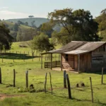 Imóvel rural brasileiro com casa de fazenda e pastagens verdes