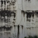 Manchas de infiltração em parede de condomínio residencial brasileiro