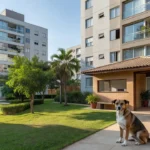 Condomínio residencial brasileiro com cachorro na área comum