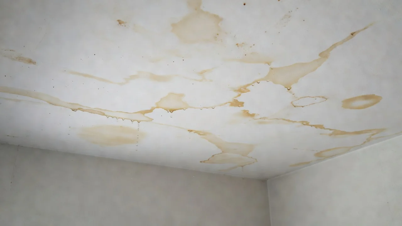 Teto de apartamento com manchas de infiltração de água