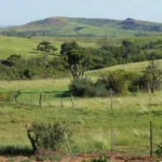 Terreno rural brasileiro com campos e cercas para compra de propriedade