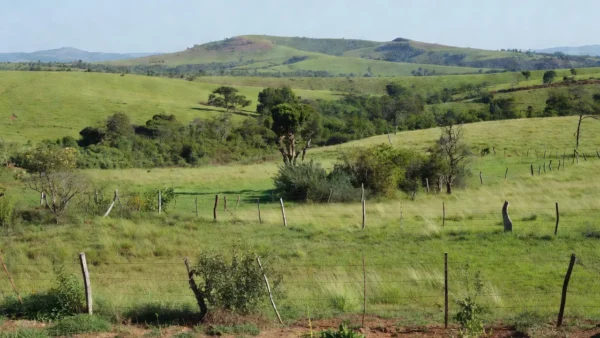 Terreno rural brasileiro com campos e cercas para compra de propriedade
