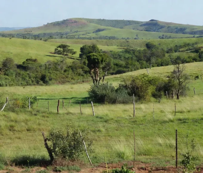 Terreno rural brasileiro com campos e cercas para compra de propriedade